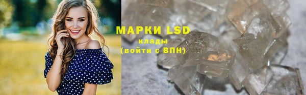 PSILOCYBIN Бородино