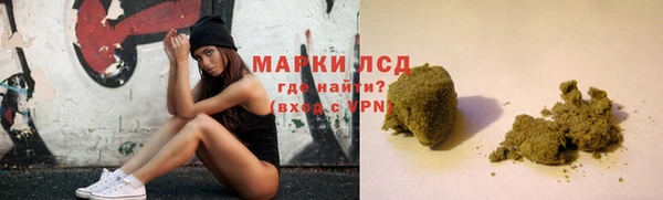 PSILOCYBIN Бородино