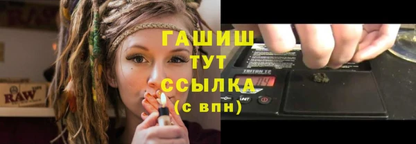 PSILOCYBIN Бородино