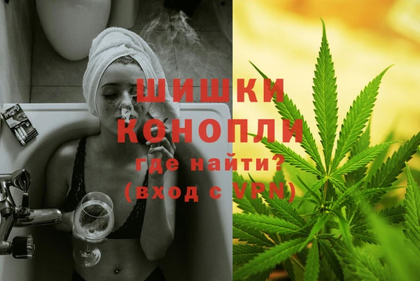 PSILOCYBIN Бородино