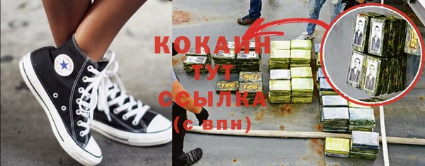 PSILOCYBIN Бородино