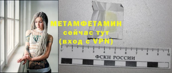 PSILOCYBIN Бородино